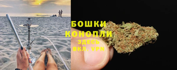 спиды Каменка
