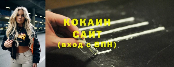 спиды Каменка