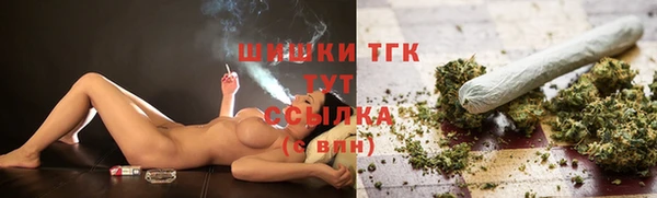 спиды Каменка