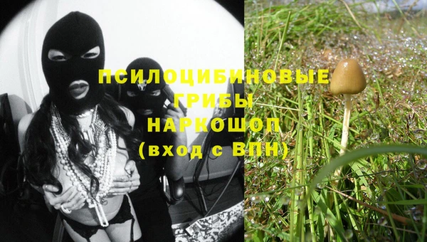 спиды Каменка