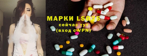 спиды Каменка