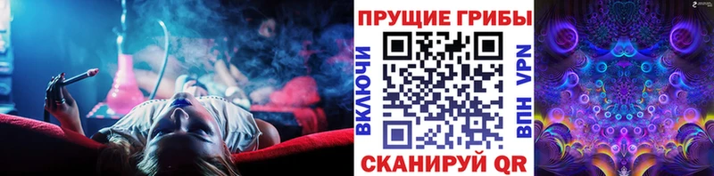 Псилоцибиновые грибы мицелий  Купить где  Рудня 